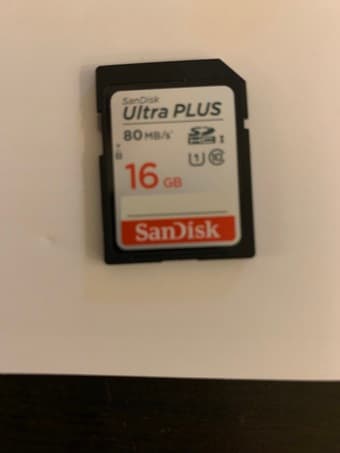 16GB SanDisk SD card 1