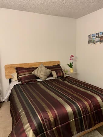 3 Private bedrooms in quiet neighborhood near downtown Mountain View 4