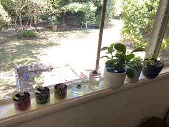 Sublet near University Ave available Sept 12-December 31 4