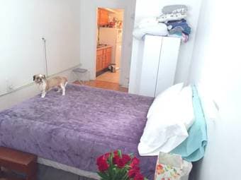 Charming studio/in-law home with private yard/garden in Mountain View 2