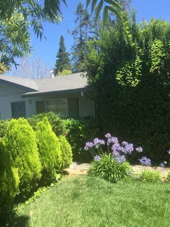 2BR 1 BA lovely garden/patio (Mountain View) 2