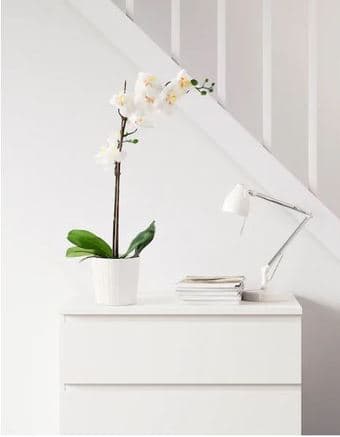 Artificial Potted Plant, Orchid White 1