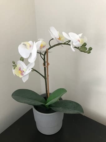 Artificial Potted Plant, Orchid White 2