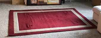 Free living room rug 1