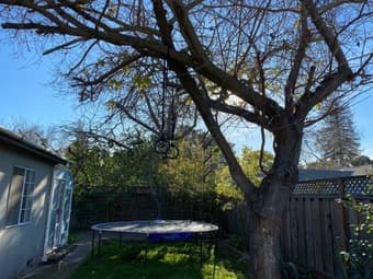 4BR/2BA 2000sf Furnished House with backyard 4