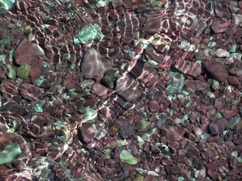 While you're in Tahoe, pls help SU MD while getting your home minded! 1