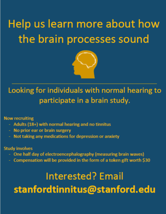 Auditory brain study - see your brain in action! 1