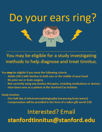 Auditory brain study - see your brain in action! 2
