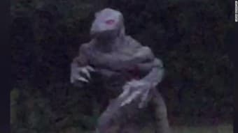 Seeking fellow lizard enthusiasts 1