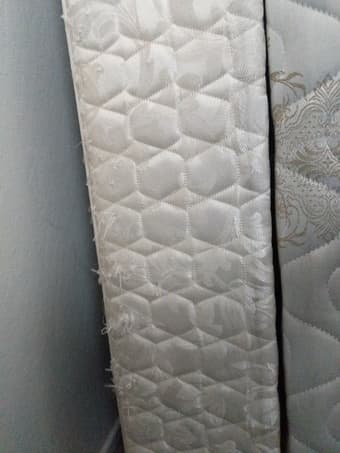 Free twin mattresses and box springs 3