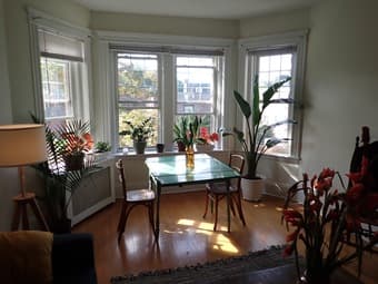 Nov. 2020 - September 2021 Boston - Brookline 1