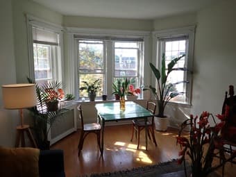 Nov. 2020 - September 2021 Boston - Brookline 2