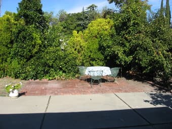 rooms available in quiet and nice Palo Alto Greenmeadow area 2