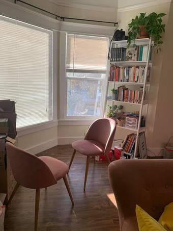 Beautiful & recently remodeled 1br/1bath apt in Downtown San Jose 4