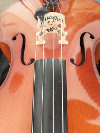 Full size (4/4) cello 2