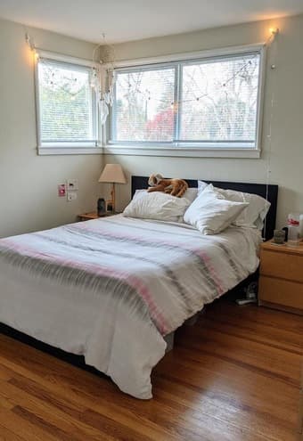 Sunny 1BR close to campus 4