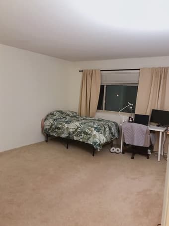 Master BR in Palo Alto Downtown 1