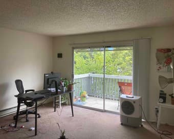 Sunny, spacious studio in Sunnyvale from March 3