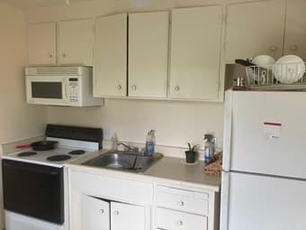 Sunny, spacious studio in Sunnyvale from March 4