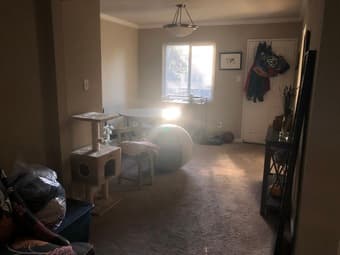 Room for rent in a cozy Palo Alto apartment! 2
