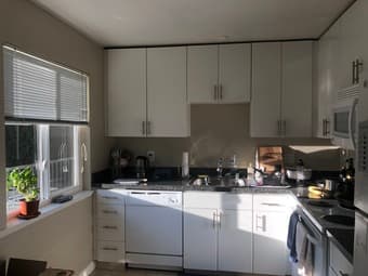 Room for rent in a cozy Palo Alto apartment! 3