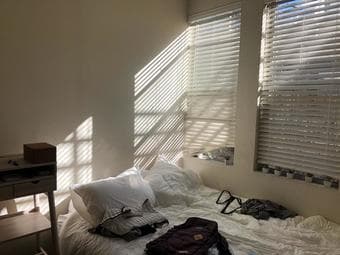 Full DTPA Apartment Steps away from Palm Drive 1