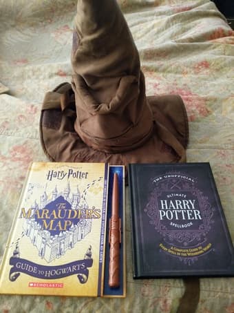 Harry potter sorting hat and spell books 1