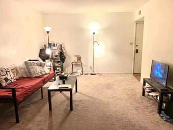 Newly Renovated 1B1B in Mountain View downtown Available Now! 4