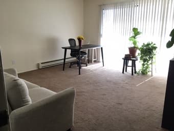 Beautiful and sunny furnished studio in Sunnyvale 2