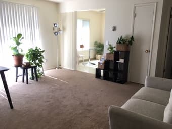Beautiful and sunny furnished studio in Sunnyvale 3