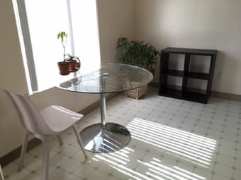 Beautiful and sunny furnished studio in Sunnyvale 4