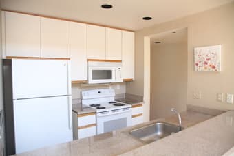 Beautiful Europeans style condo with Cathedral ceiling at Palo Alto 3