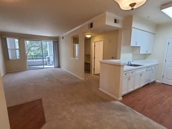 Your Own Private 1 Bedroom Condo For Rent 2