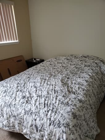 Queen bed for pickup 1