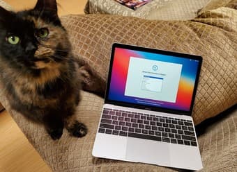 Apple  Macbook®  12 inches 1