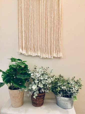 Home decor (macrame hanging wall pieces + fake plants) 2