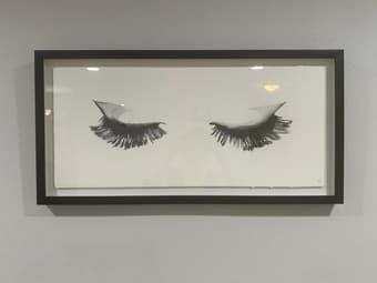 Framed Canvas Prints 1