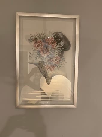 Framed Canvas Prints 2