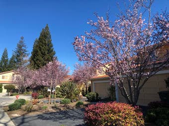 [Female] Large Furnished Suite in Beautiful 4BR/3BA RWC House 4