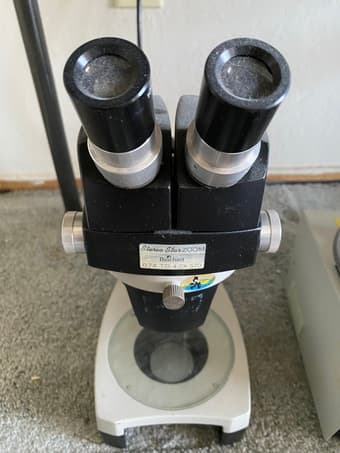 Reichert Stereo Star Zoom 1