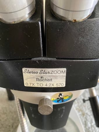 Reichert Stereo Star Zoom 2