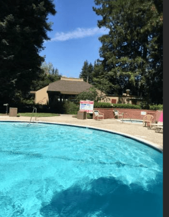 FIRST MONTH FREE 2 Bedroom Apartment Downtown Mountain View 4