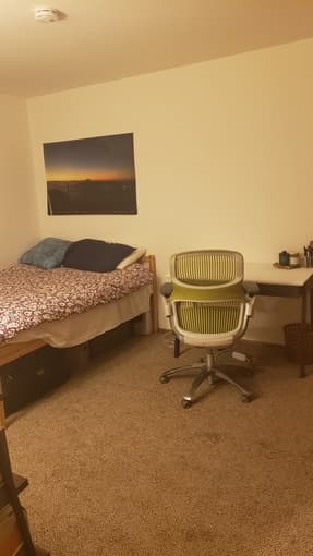 Roommate Needed! 2bed/2bath College Ave Apt. 2