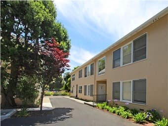 1BR 1BA Downtown Palo Alto Apartment - GORGEOUS NATURAL LIGHT 3