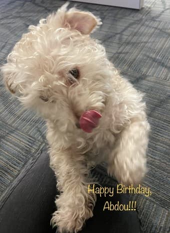 Looking for a Room with a Private Bathroom or a Studio around 94304 2