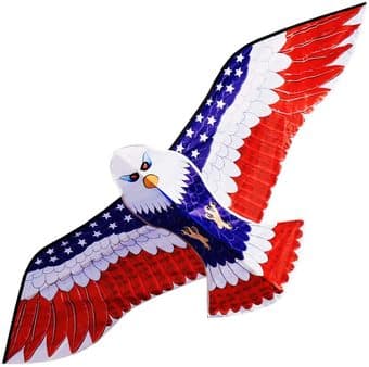 Eagle Kites 1