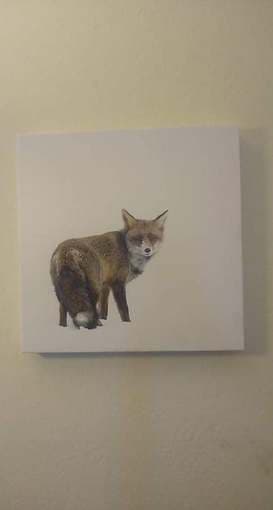 fox wall canvas art 1
