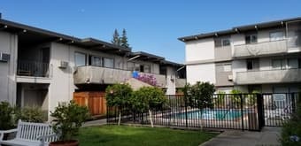 Private Room in a 2B1B Apartment in Mountain View at $1100 per month! 1