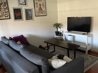 1bd apartment sublet Oct 15 - Dec 31- Willows neighborhood, Menlo Park 1