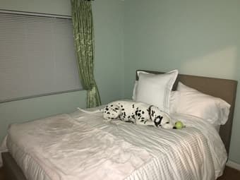 Palo Alto Room with Students/Professionals - $900 1
